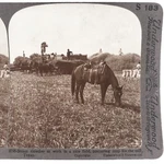 Steam Thresher In Rice Field Stereoview C1905 Texas Farm Horse & Harvester F1054. Fixed Price $14.95.