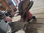 Team Roping Saddle 15" Scott Thomas Brand. Fixed Price $750.00.