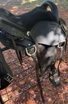Black Ctk Treeless Endurance Horse Saddle One Size, Design. Fixed Price $725.00.
