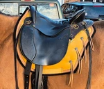 Tucker Plantation Saddle Size 15.5 Used. Fixed Price $900.00.
