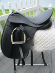 17.5'' Wintec 500 Adj. Cair English Dressage Saddle New Leathers & Flex Irons. Fixed Price $450.00.