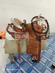 Western Leather Show Saddle With Silver Corner And Conchos All Size. Fixed Price $599.10.