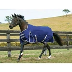 Weatherbeeta Comfitec Essential Standard Neck Lite Turnout Closeout. Fixed Price $84.00.