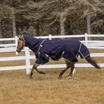 Tuffrider All Season Ripstop Turnout Blanket. Fixed Price $179.99.