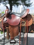 15'' High Horse Circle Y Park & Trail Fqh Bars Western Saddle Leather Cordura. Fixed Price $700.00.