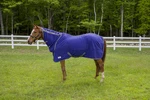 Tuffrider Cooler Sheet Combo Deep Wisteria 84. Fixed Price $78.86.