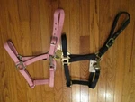 Gatsby Classic Nylon Halter With Snap Cob Pink Or Navy. Fixed Price $7.00.