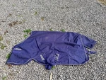 Amigo Hero Pony Turnout Sheet Size 57. Fixed Price $45.00.