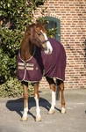 Horseware Amigo Stable Sheet (no Fill) Fig / Navy & Tan Choose Size New. Fixed Price $59.99.