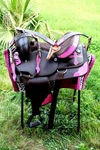 Western Cordura Trail Barrel Pleasure Horse Saddle Pink 4982. Fixed Price $300.00.