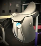 New W/tags Unused Wintec 500 Saddle Black With Hart 17IN. Fixed Price $687.50.