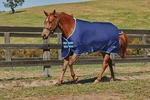 Saxon 600D Standard Neck Medium Turnout Blanket (navy/light Blue, 84"). Fixed Price $89.95.