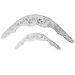 17AI Hilason Pair Of Show Saddle Corner Silver Plated X 6-3/4 Inches. Fixed Price $15.95.