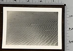 Drifting Shifting Sands Of Oam Ranch Bay 4.5 X 3.5 Inch Photograph. Fixed Price $53.65.