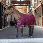 Shires Highlander Turnout Blanket For Miniature Horses - 200G Weight. Fixed Price $69.99.