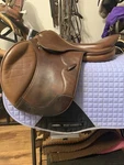 17 Inch Pessoa Gen X Saddle-free Shipping. Fixed Price $1700.00.