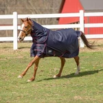Tuffrider 1200 Comfy Winter Medium Weight Turnout Blanket W/ Detachable Neck. Fixed Price $126.99.