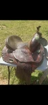 14.5 Circle Y Marlene Mcrae Special Effx Barrel Racing Western Saddle Fqhb. Fixed Price $1050.00.