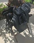 Wintec 2000 Saddle Set! 17" Cair Easy Change Gullet + Stirrups, Girth & Bridle. Fixed Price $499.00.