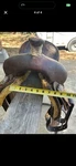 Tod Sloane Calf Roping Saddle 14 Brown Leather Traditional Design. Fixed Price $1800.00.