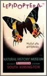 Natural History Museum 1928 South Kensington Uk Vintage Poster Print Retro Art. Fixed Price $28.24.