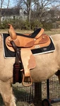 New Abetta 16 Leather Western Saddle All Around Quarter Horse Tree Show. Fixed Price $550.00.