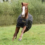 Bucas Irish Turnout Light 50G. Fixed Price $236.95.
