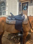 16" Dakota 321 Barrel Horse Saddle Semi Quarter Bars. Fixed Price $500.00.