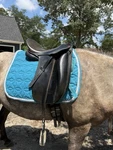Thornhill Klasse Dressage Saddle 17.5 Deep Seat. Fixed Price $1300.00.