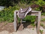 Barefoot Drytex Cheyenne Lily Treeless Saddle (kid/pony Size). Fixed Price $500.00.