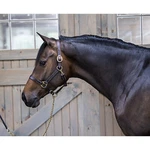 Gatsby Leather Turnout Halter W/snap. Fixed Price $46.29.