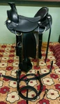 Western Hot Seat Saddle Eco- Leather Buffalo Black Color Size 17" / All. Fixed Price $499.00.