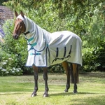 New Shires Sweet Itch Combo Neck Fly Sheet 75. Fixed Price $75.00.
