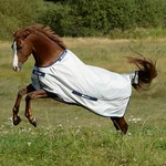 Bucas Sun Shower Turnout Sheet. Fixed Price $223.95.