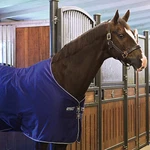 Amigo Stable Sheet. Fixed Price $103.65.