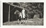 Vintage Old 1930S Photo Of Pretty Girl Riding Pinto Horse Next Stable. Fixed Price $12.50.