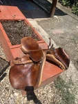 Courbette Derby All Purpose English Saddle 16". Fixed Price $200.00.