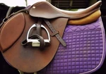Pessoa English Saddle. Fixed Price $1200.00.