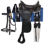 Royal King Long Distance Saddle Package. Fixed Price $400.00.