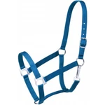 Tough Turquoise Nylon Economy Horse Sized Halter Tack Equine 50-1701. Fixed Price $16.00.