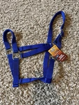 Tough Royal Blue Nylon Horse Sized Economy Halter Tack Equine 50-1701. Fixed Price $12.00.