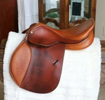 16.5" Circuit Big Ben (dover Saddlery) English Hunter/jumper. Fixed Price $499.00.