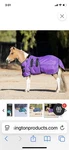 54 Kensington Pony/mini Turnout Blanket. Fixed Price $85.00.
