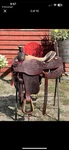 15.5 Cactus Roping Saddle. Fixed Price $2200.00.