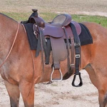 Cashel Step Stirrup Extender - Adjustable Portable Horse Mounting Aid With. Fixed Price $42.35.