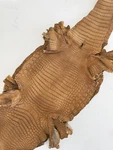 Crocodile Leather Antique Saddle Ww Finish (100% Genuine Skin). Fixed Price $290.40.