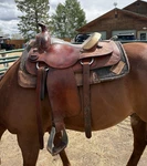 15 Inch Circle Y Ranch Western Pleasure/trail Saddle. Fixed Price $650.00.