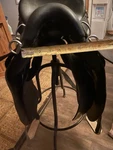 Steele Plantation Saddle. Fixed Price $1250.00.