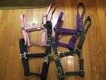 Gatsby Classic Nylon Halter With Snap Pony Size Pink Navy Green Purple. Fixed Price $7.00.