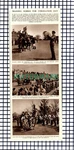 X1645) Training Royal Horses For Coronation Day Woolwich Barracks 1953 Cutting. Fixed Price $12.18.